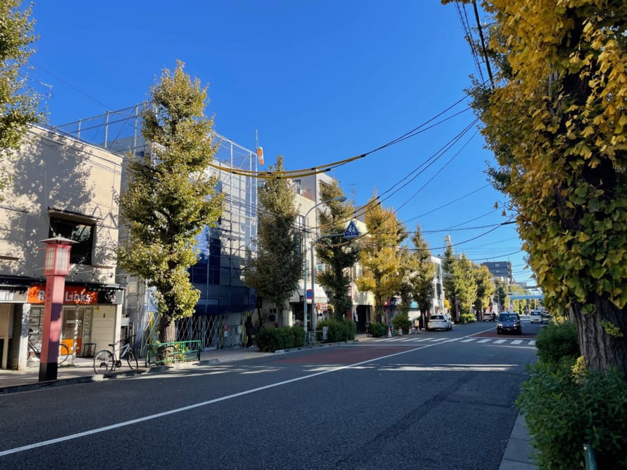 世田谷かみまちリウマチ整形外科の写真